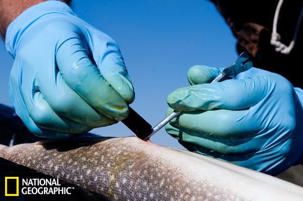 �����źŴ���װ��