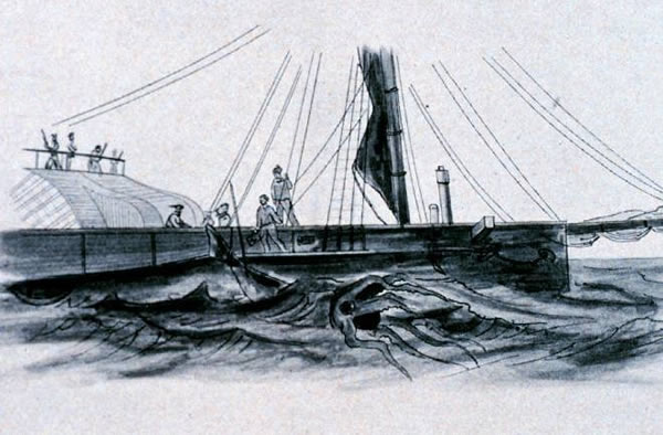 渔民捕捞到可怕的巨型鱿鱼