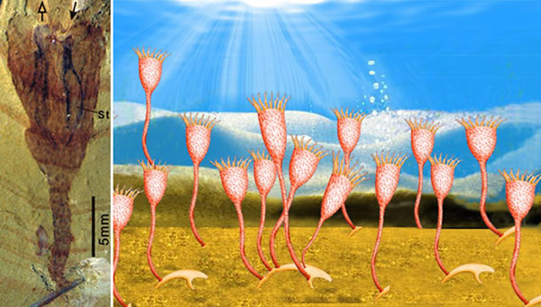 ڸضڵʱ׷ݵʹ󱬷ʱ