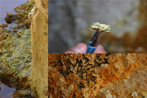 ���������غ������������������������������΢����(����ɫ����)