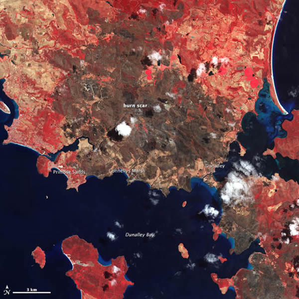 卫星照片展示2013年澳大利亚塔斯马尼亚州森林大火的烧伤痕迹