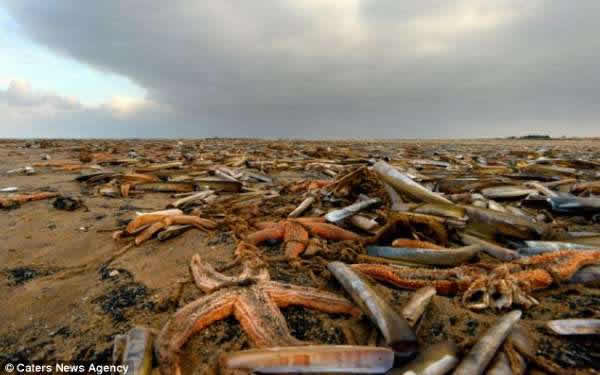 Ӣ���򱩷�ѩ�������´������Ǳ����ϰ�����