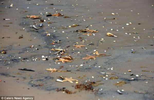 Ӣ���򱩷�ѩ�������´������Ǳ����ϰ�����