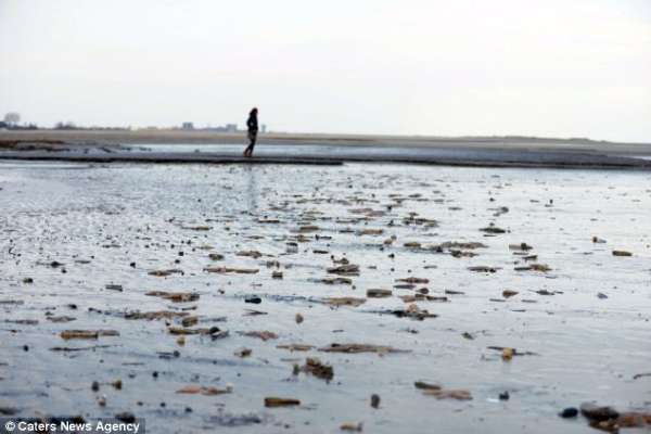 Ӣ���򱩷�ѩ�������´������Ǳ����ϰ�����