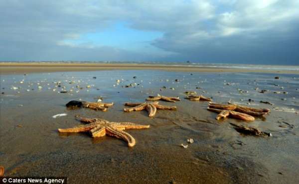 Ӣ���򱩷�ѩ�������´������Ǳ����ϰ�����