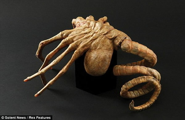 异形生物的设计灵感来自于这块远古化石样本