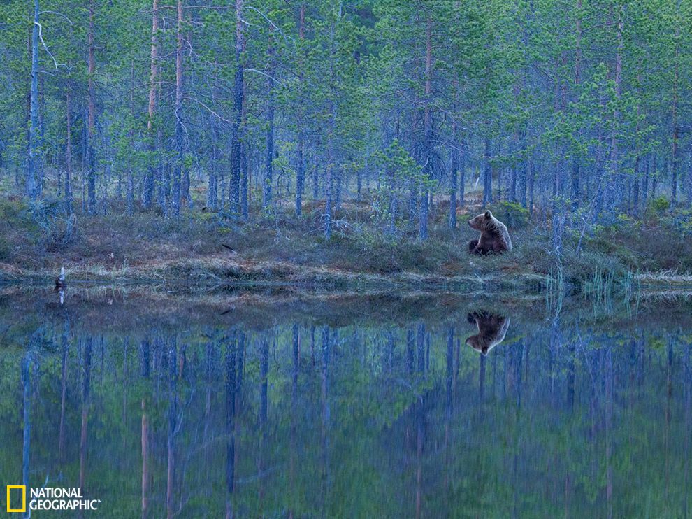 ��������