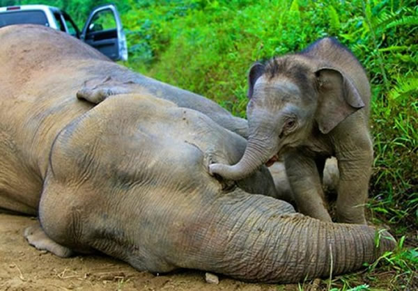 �������������޷���ʮͷ��ϡ٪���󱻶���