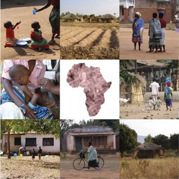 肠道微生物导致了严重的营养不良