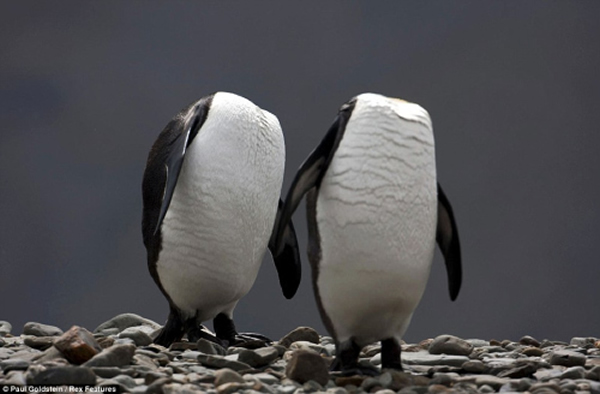 �������ǵ����㵽��ֻ����ͷ��족