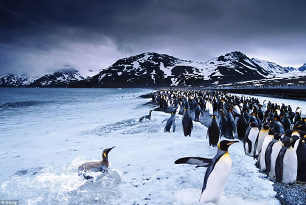 ����ǧ�Ƶ�������������ǵ���