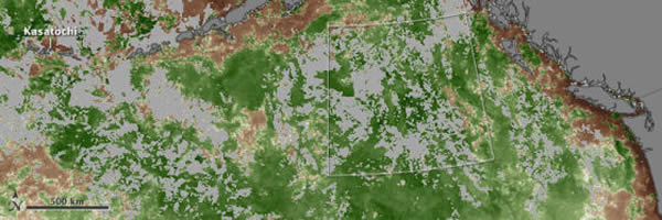 第二张图显示了Kasatochi火山爆发后受影响海域中当月叶绿素的增长情况