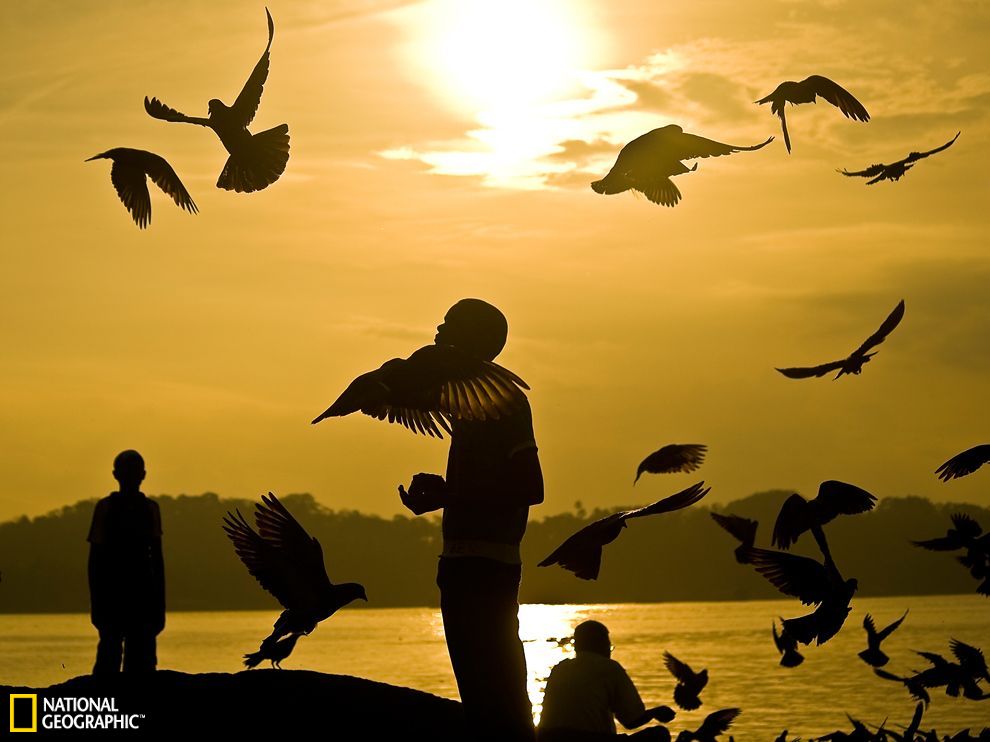 ������Ⱥ������ι����