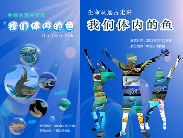 中国古动物馆春节举办“生命从远古走来--我们体内的鱼”特别展览