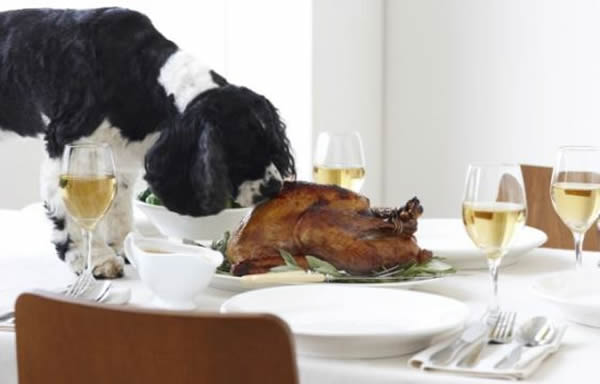 ��������ʳ������ʳƷ��Ϊ����Ӧ���ǵĵ�����ʳ�����ǵ��Ŵ�����Ѿ���������Ӧ�仯