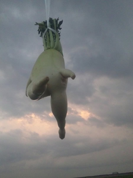 日本“逃跑萝卜”走红网络