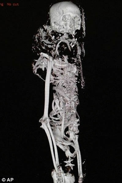 3Dͼ�ṩ���й�����ϸ�ڣ�����ɨ����̲����ƻ�ľ������