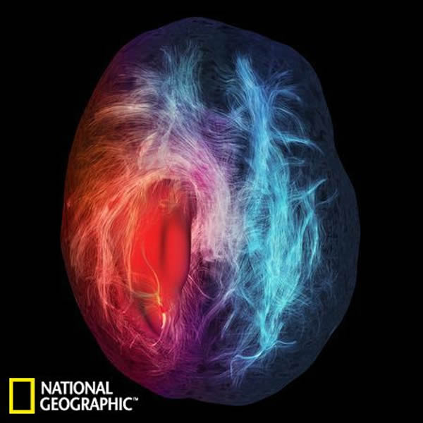 ���������������Ӵ�