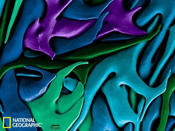 ��̵�����