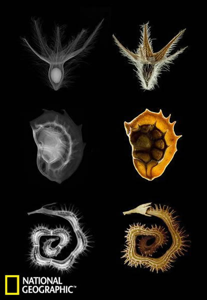 ���ӵ��ڲ�