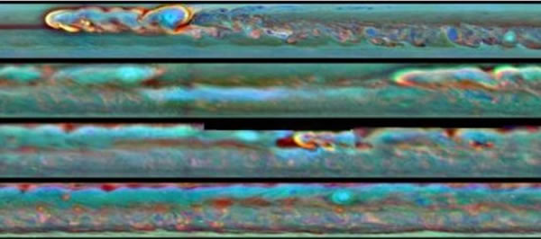 ���������������ǳ����籩������һֻҧס�Լ�β�͵ľ���