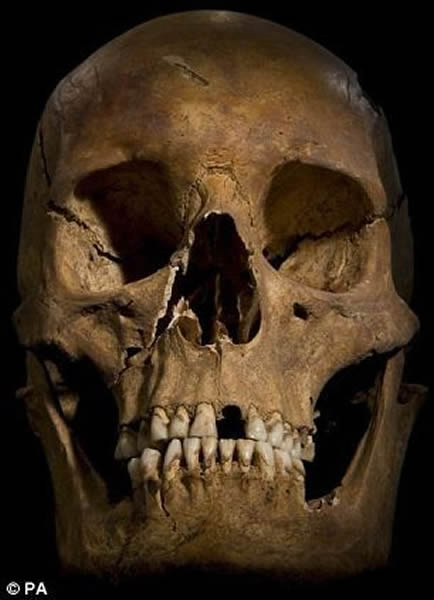 �������沿��4����������˹�ش�ѧ����֤ʵ��ߺ������ݵ���Ϣ�ܵ�����������ص�ý������һ�ӭ������������Ϊ����ι�����������