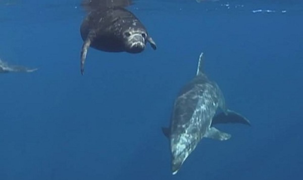 �����ͥԮ��С����