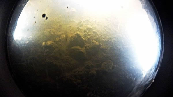 Sediments crumble as an underwater camera touches the bottom of Whillans Lake in