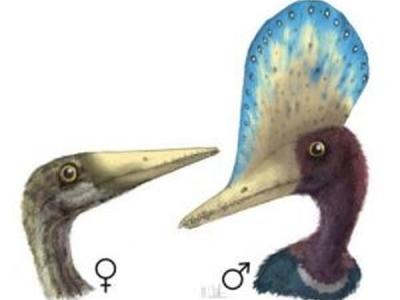 苏门答腊地震中所见的一系列断层的缓慢断裂