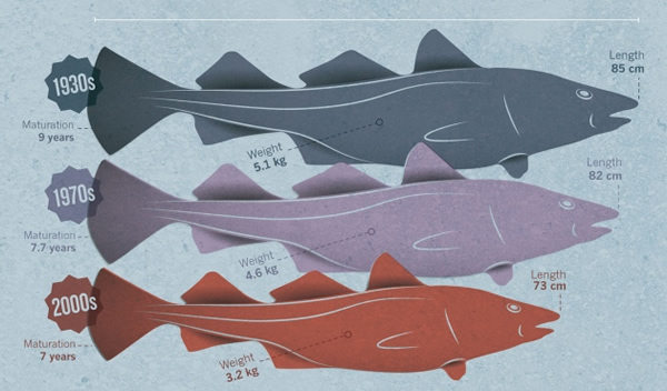 ����ˮ����