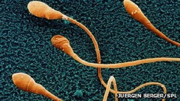 �����о��������������ʽ�����ή�;�������Ҳ�ή�;�������