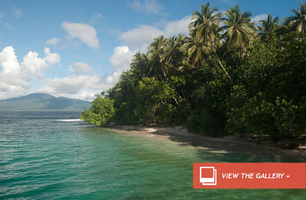 Remote area of the Solomon Islands, South Pacific.