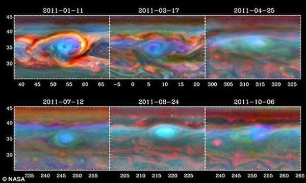 �÷籩ͷ��������ͷ��˦����һϵ��ͼƬ