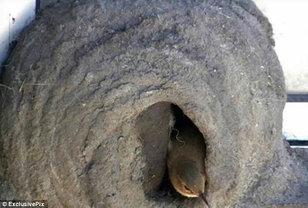 ����������������