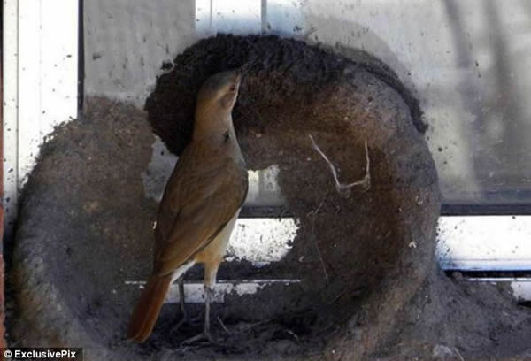 ����������������