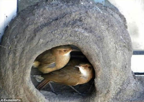 ����������������