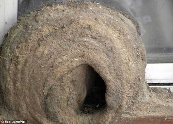 ����������������