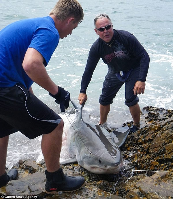 �Ϸ�һ����ɱ������豻����