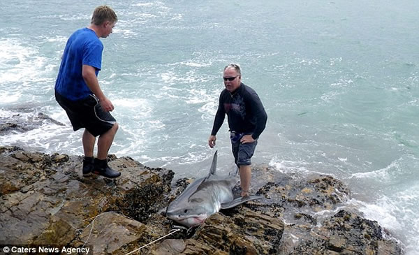 �Ϸ�һ����ɱ������豻����