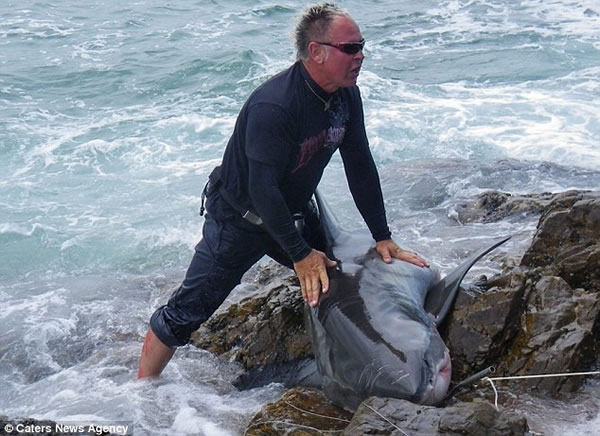 �Ϸ�һ����ɱ������豻����