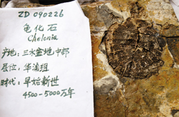 �������ռ����������껯ʯ