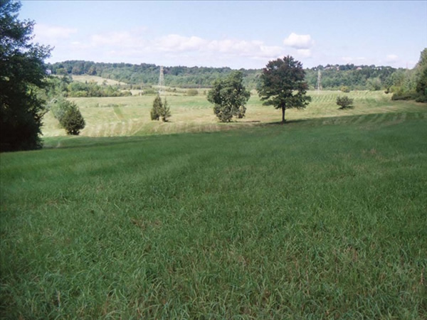 �о����������б����Ĳ�ԭ���ڿ���ת����ũ��