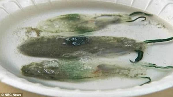 �����������̫ƽ�󱱲���������ֵ�����