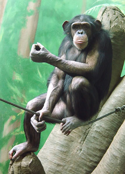 �����ɾ��нϺõĶ�ʱ���䣬�����������ѳ�Խ������