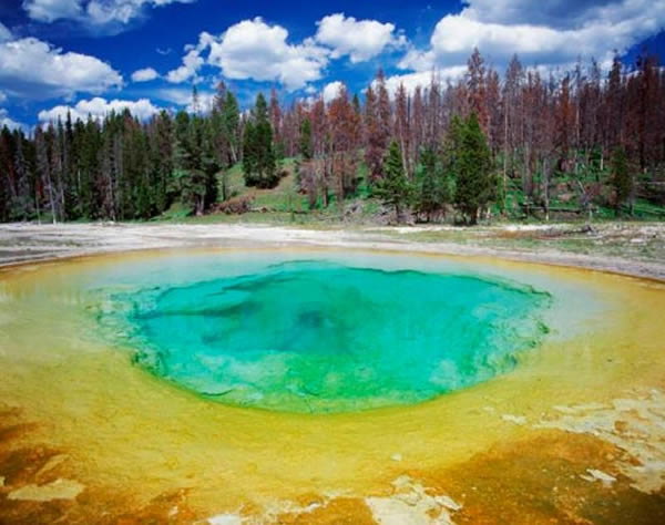 ʯ԰ɰأڹȥ200ʯ3λɽ緢ɽҸֽ޵