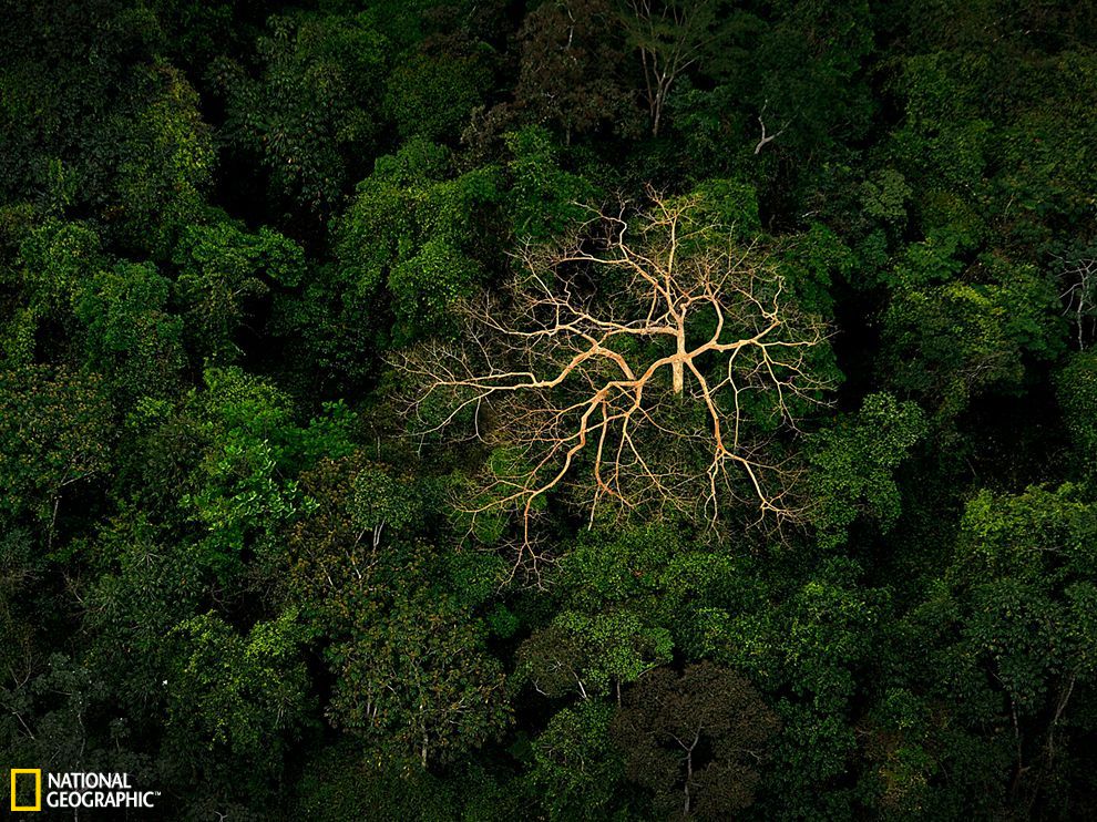 �ȴ���������ȥ�Ĵ���