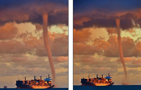 �����������������������������