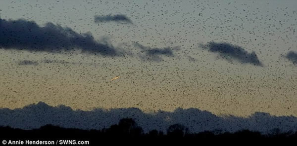 ������Ƭ��ʾ������л��������Ը��ٷ��У���Ƭ������2��6��