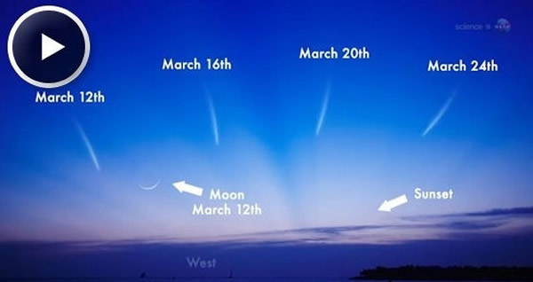 天空中的彗星Pan-STARRS