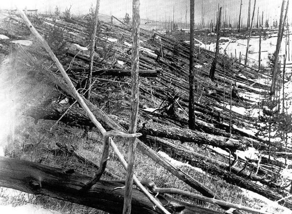 Trees lay strewn across the countryside near Tunguska, Russia, in 1953, 45 years